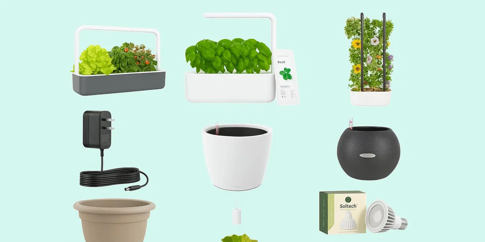 Plant Gifts for Plant-Killers