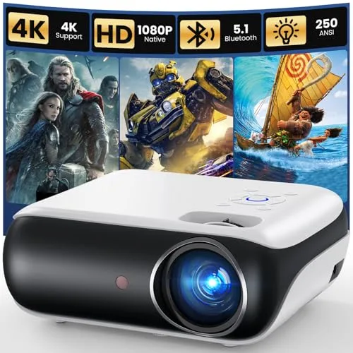 24. Mini Projector