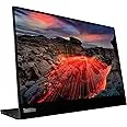 11. Lenovo ThinkVision M14t Gen 2