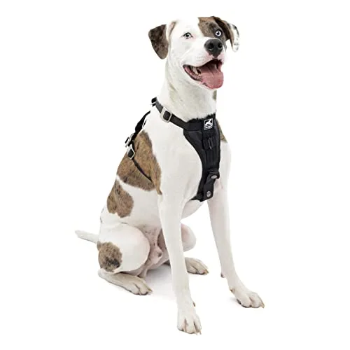 11. Kurgo Tru-Fit Enhanced Strength Dog Harness (Kurgo)