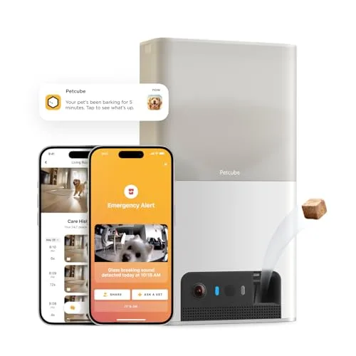 9. Petcube Bites 2 Lite Pet Camera