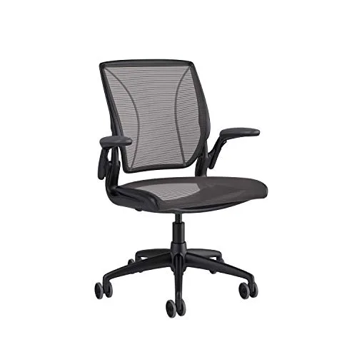 7. Humanscale Diffrient World Chair