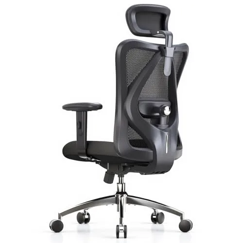 16. SIHOO M18 Ergonomic Office Chair