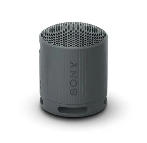11. Sony SRS-XB100 Wireless Bluetooth Speaker