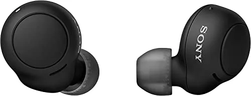 3. Sony WF-C500 True Wireless Earbuds