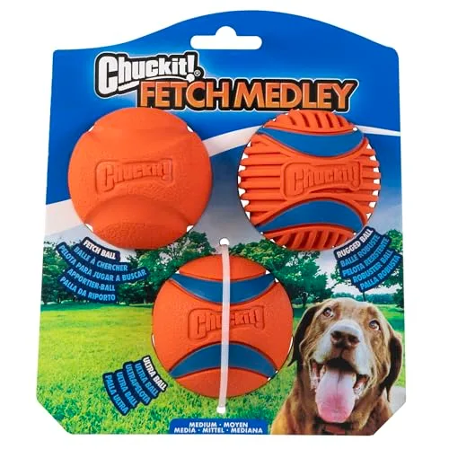 11. Chuckit! Ultra Ball (Medium) - High‑Bounce Fetch Ball for Dogs