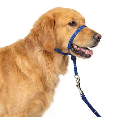 Gentle Leader Headcollar for Dogs