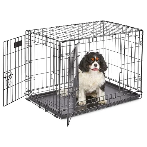 MidWest iCrate Folding Dog Crate