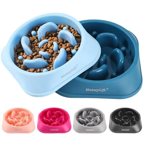 PetPremium Slow Feeder Dog Bowl